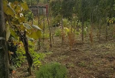 Casă cu 5 camere cu Teren 3200 Mp în Stângăceaua - 5