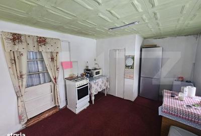 Casă cu 2 camere în Uioara de Jos - 6