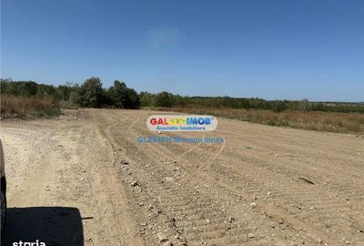 Teren de 2960 mp, în Lipănești - 6