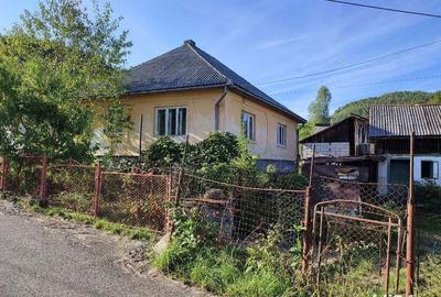 Casă cu 2 camere în Băița - 4