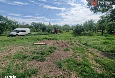 Casă cu 3 camere cu Teren 2096 Mp în Remetea Mare - 12