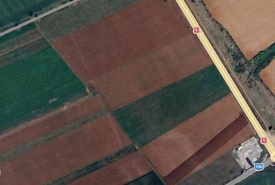 Teren de 5000 mp, în Florești - 3