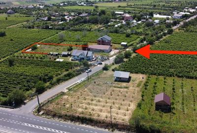 Casa sau Spatiu Dumbraveni langa DN E85 - 16