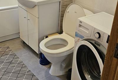 Apartament cu 2 camere semidecomandat în Dumbrăvița - 2