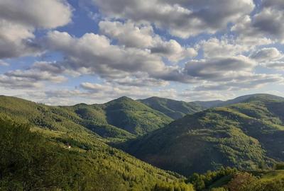 Casă în Plopi - 7