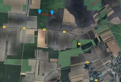 Teren de 53211 mp, în Merii Petchii - 2