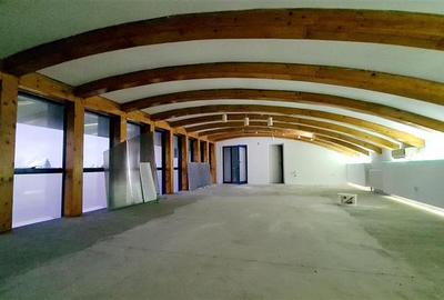 Spațiu comercial, de 660 mp, în Fratelia - 11