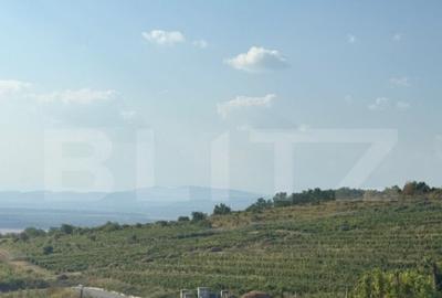 Teren intravilan suprafata 1700mp, utilitati pe teren , supe - 4