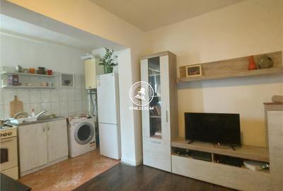 Apartament cu 2 camere cu teren 60 mp la casa  Podul de Fier - 6