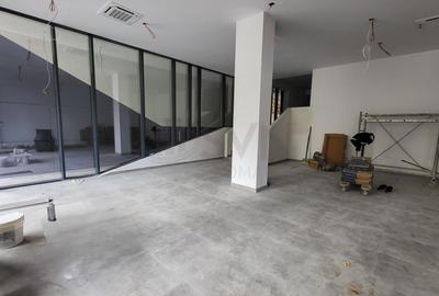 Spațiu comercial, de 320 mp, în Parcul Carol - 7