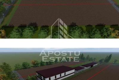 Teren Zadareni proiect spalatorie auto/spatii comerciale - 1