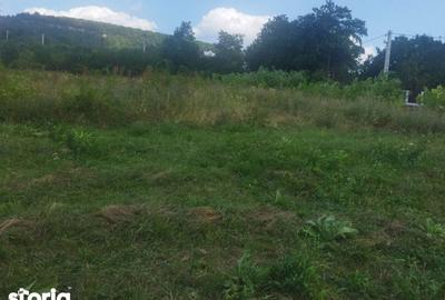 Teren de 562 mp, în Bârnova - 5