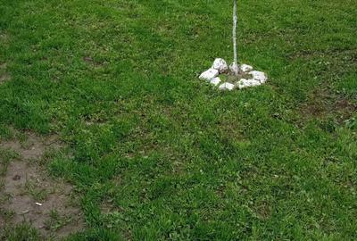 Casă cu 2 camere cu Teren 581 Mp în Rasa - 4