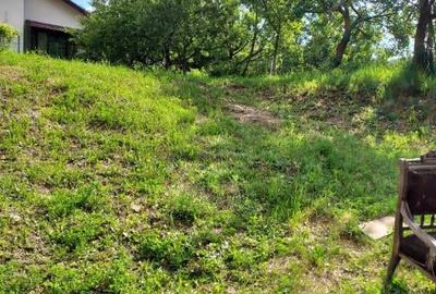 Teren intravilan, Faget - 2