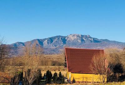 Casă cu 3 camere cu Teren 500 Mp în Central - 2