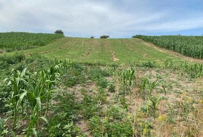 Casă cu 2 camere în Boian - 2