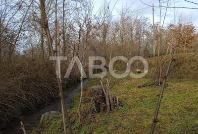 Teren de 8000 mp, în Viștișoara - 6