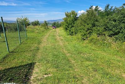 Spațiu comercial, în Drâmbar - 2