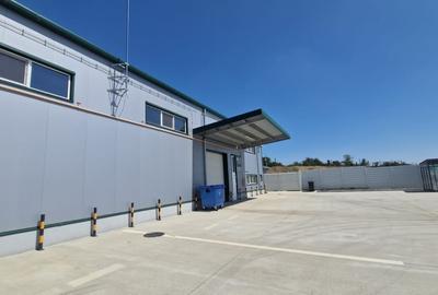 Hala industriala, 600mp, Carcea, zona Ford - 4