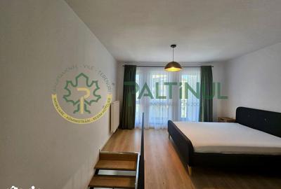 Apartament cu 2 camere în Turnișor - 11