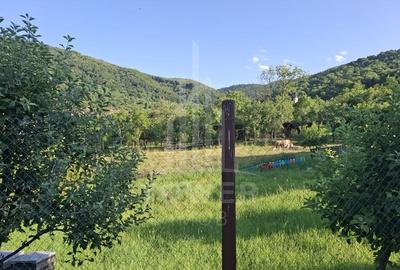 Casă tradițională de vânzare în Fântânele- vedere superba spre munti - 17