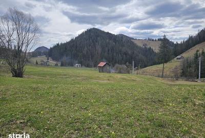 Teren de 53159 mp, în Fundu Moldovei - 3
