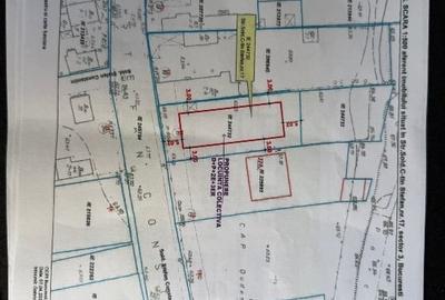 Teren de vanzare cu proiect Salajan - 2