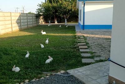 Casă cu 5 camere cu Teren 750 Mp în Corbu - 10