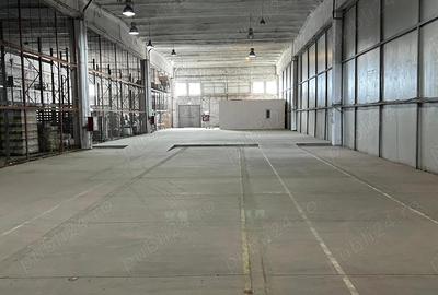 Inchiriez depozite,hale cu rampa ?i zone de incarcare-descarcare AUTORIZATE ISU, ZONA CENTRALA - 7