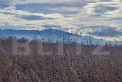 Teren de 1500 mp, în Central