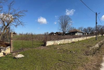 Casă cu Teren 2142 Mp în Olteni - 6