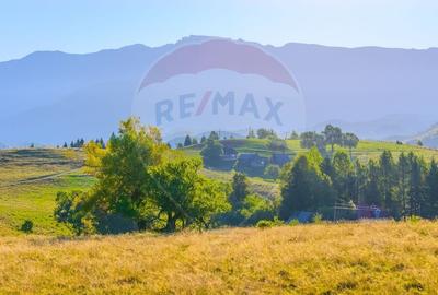 COMISION 0% Teren 19.300 mp/Sirnea/ Oportunitate de investitie - 6