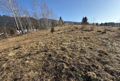 Teren de 7000 mp, în Sohodol - 2