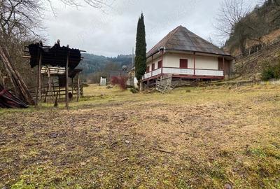 Casă cu 3 camere cu Teren 7100 Mp în Roșeni - 7