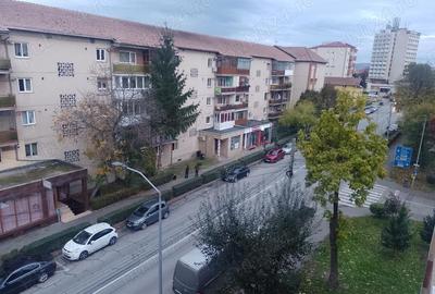 Apartament cu 2 camere semidecomandat în Cetate - 6