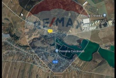 Teren agricol extravilan de 8194 mp, în Ciocănești
