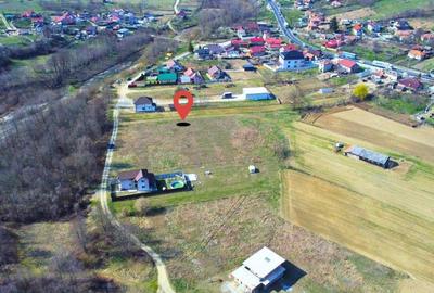 BUDESTI - TEREN 2550 MP - 2