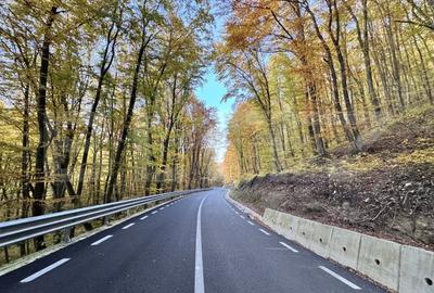 Teren de vanzare la drum asfaltat Ramet - 1