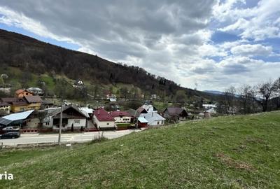 Teren de 6996 mp, în Valea Mare - 4