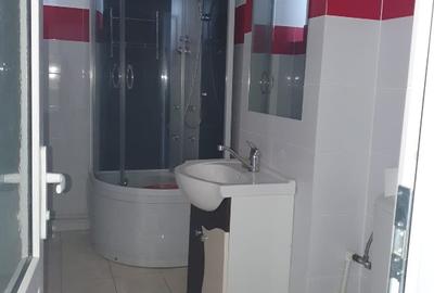 Apartament 2 camere zona Piata Mica / Plevna , etaj 2 - 2