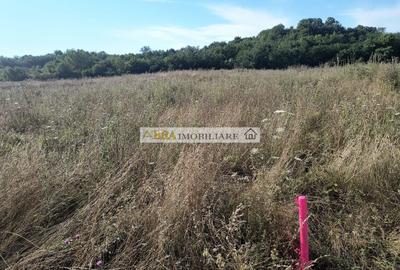 Teren intravilan investitie turism balnear fonduri europene - 6