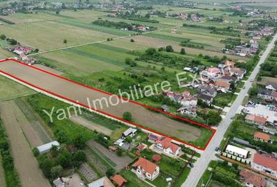 Teren 10.000 mp de vanzare in comuna Ciofrangeni, Judet Arge?. - 4