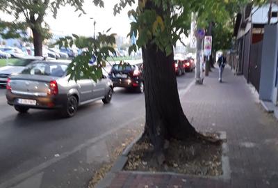 Spațiu comercial, de 34 mp, în Basarabia