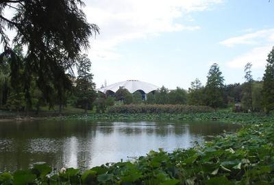 Apartament cu 3 camere semidecomandat, mobilat în Ștefan cel Mare