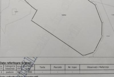 Teren intravilan de 24880 mp, în Griviței - 15