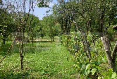 Casă cu 4 camere cu Teren 1300 Mp în Central - 5