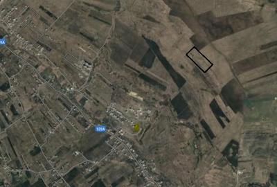 Teren extravilan de vanzare, 16810 mp, zona Valea Chintaului - 2