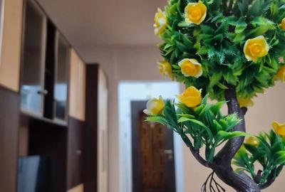 Inchiriez Garsoniera in Deva - 2