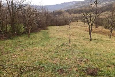 Teren de 2500 mp, în Urseiu - 3