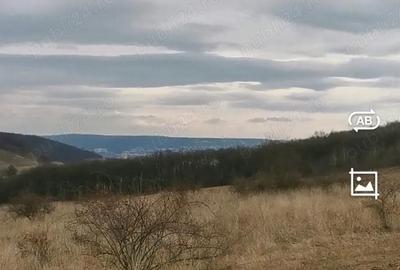 Teren de 1000 mp, în Remetea - 1